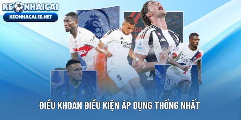 Điều khoản điều kiện áp dụng thống nhất toàn nội dung