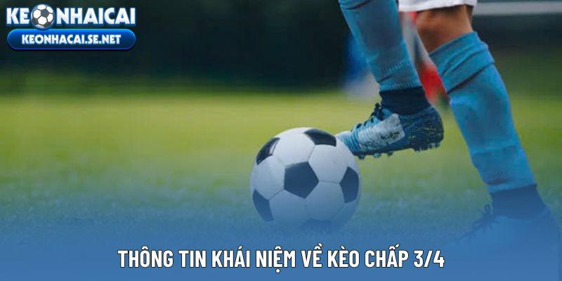 Thông tin khái niệm về kèo chấp 3/4