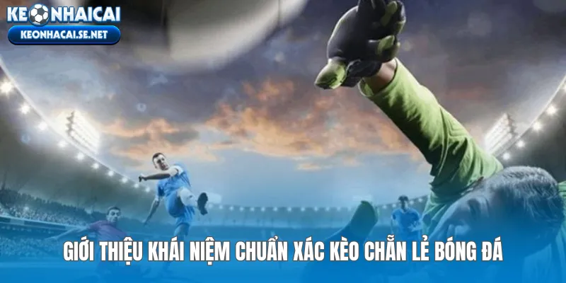 Giới thiệu khái niệm chuẩn xác kèo chẵn lẻ bóng đá