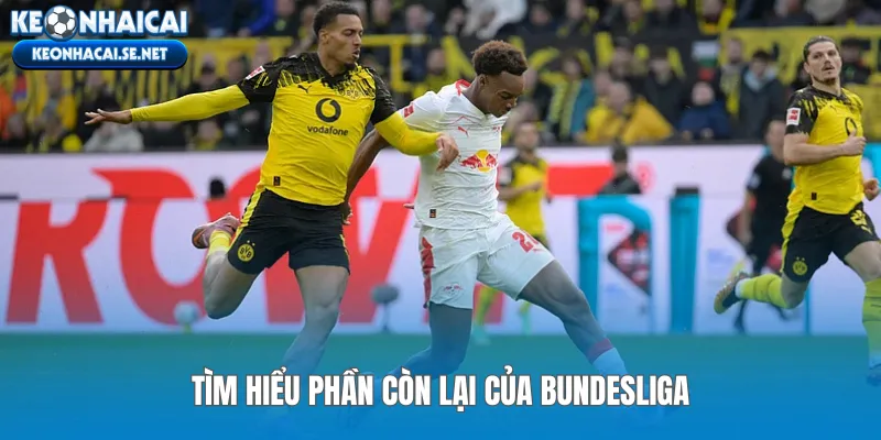 Tìm hiểu phần còn lại của Bundesliga
